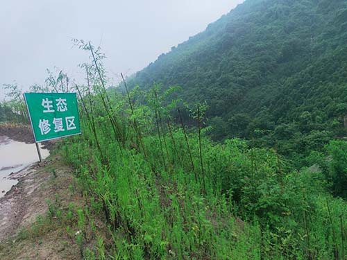 额.jpg